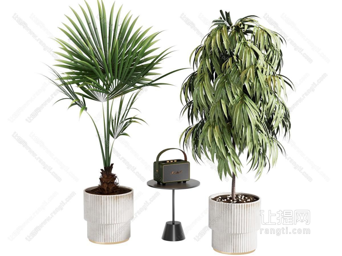 盆栽植物