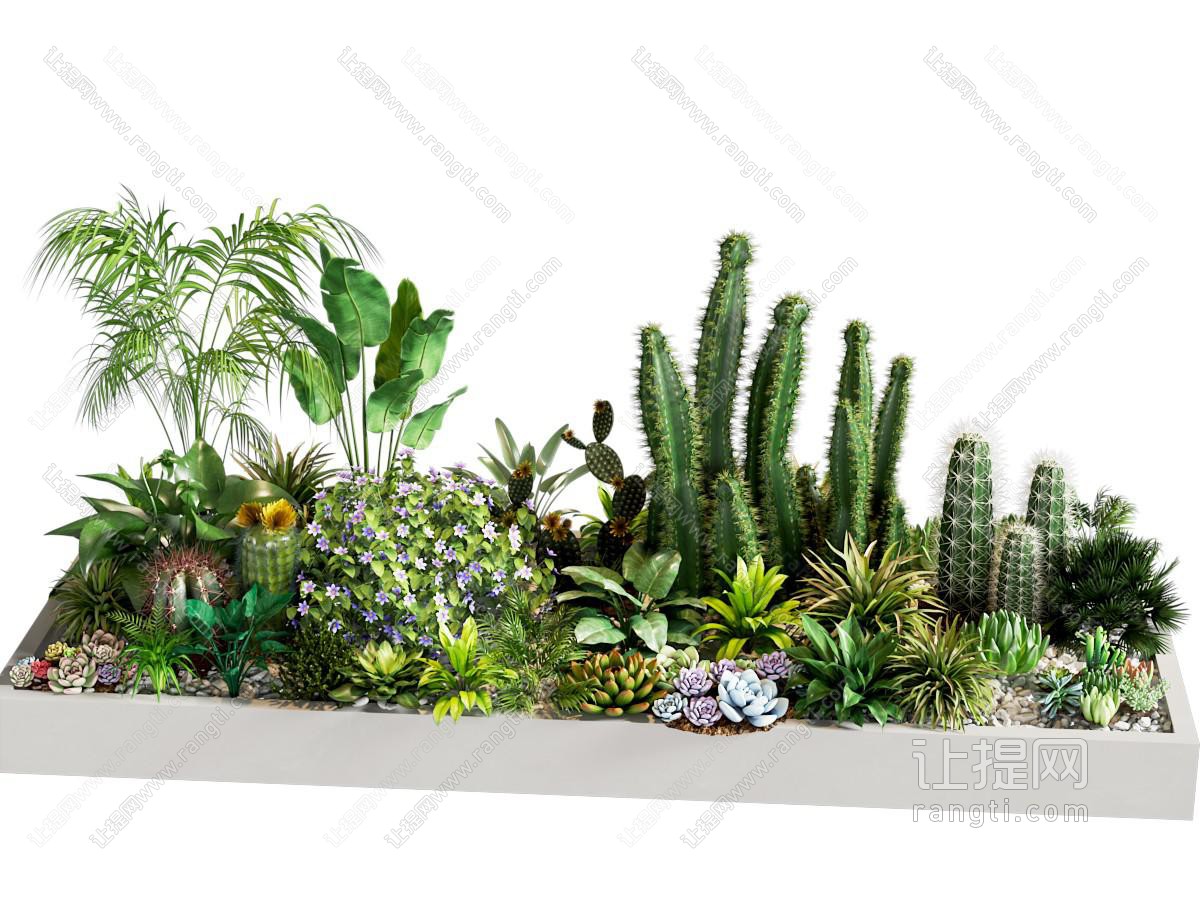 现代花坛绿植仙人掌花草