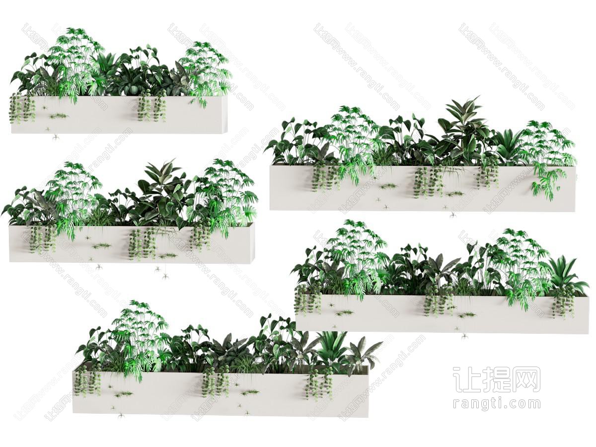 现在绿植盆栽