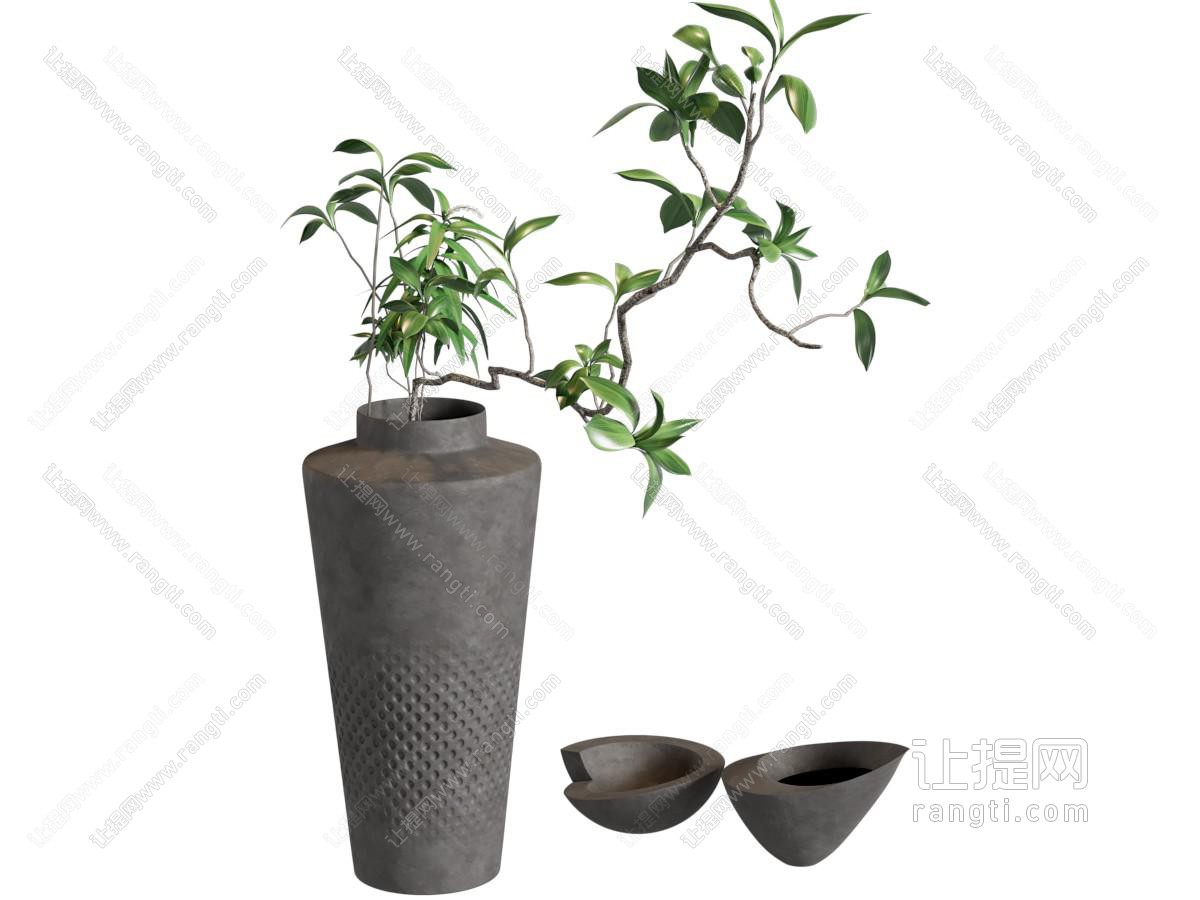 花瓶 花艺 竹柏 绿植