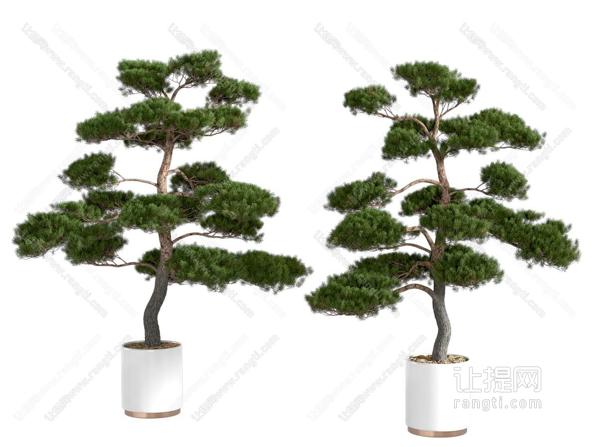 新中式盆栽盆景