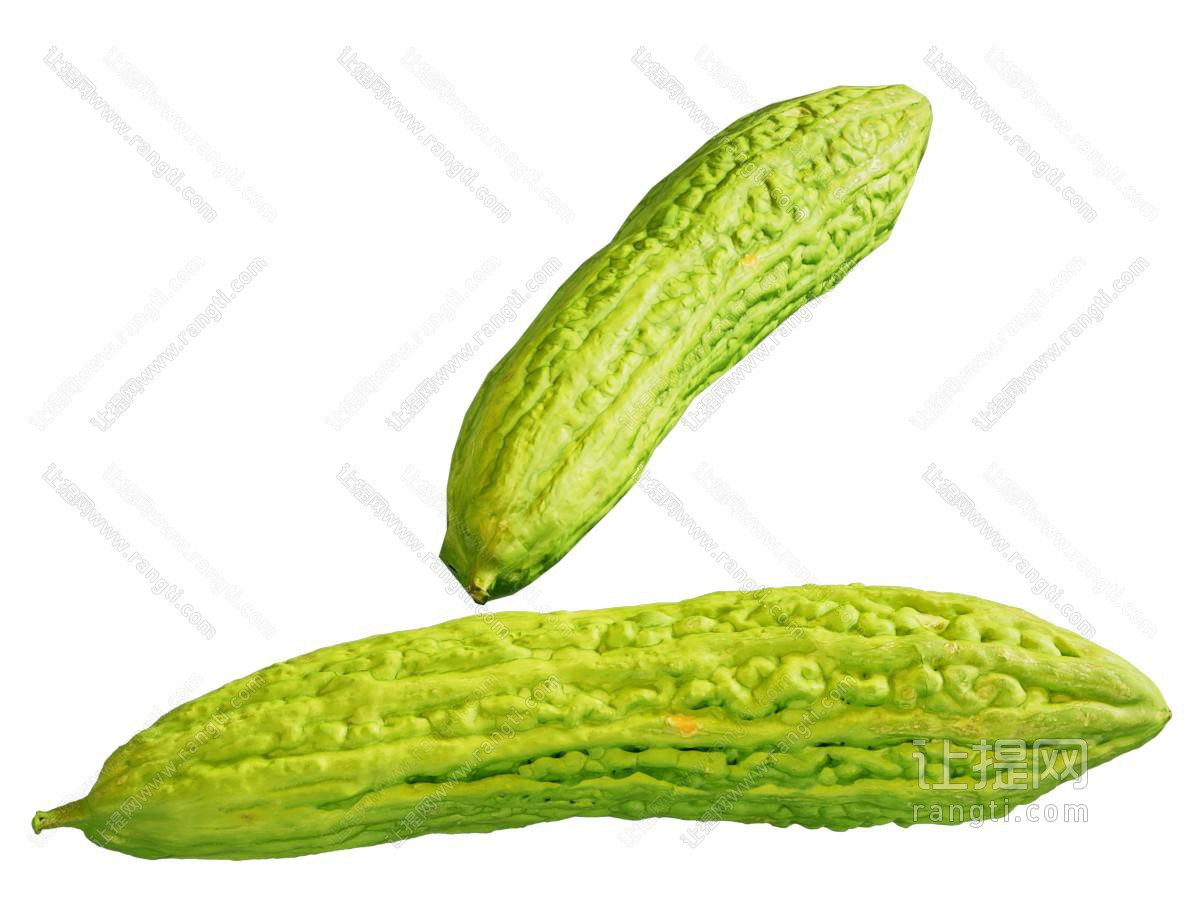 现代苦瓜 蔬菜