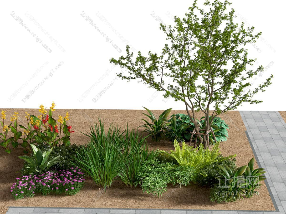 灌木小品 绿篱 植物堆 花镜植物
