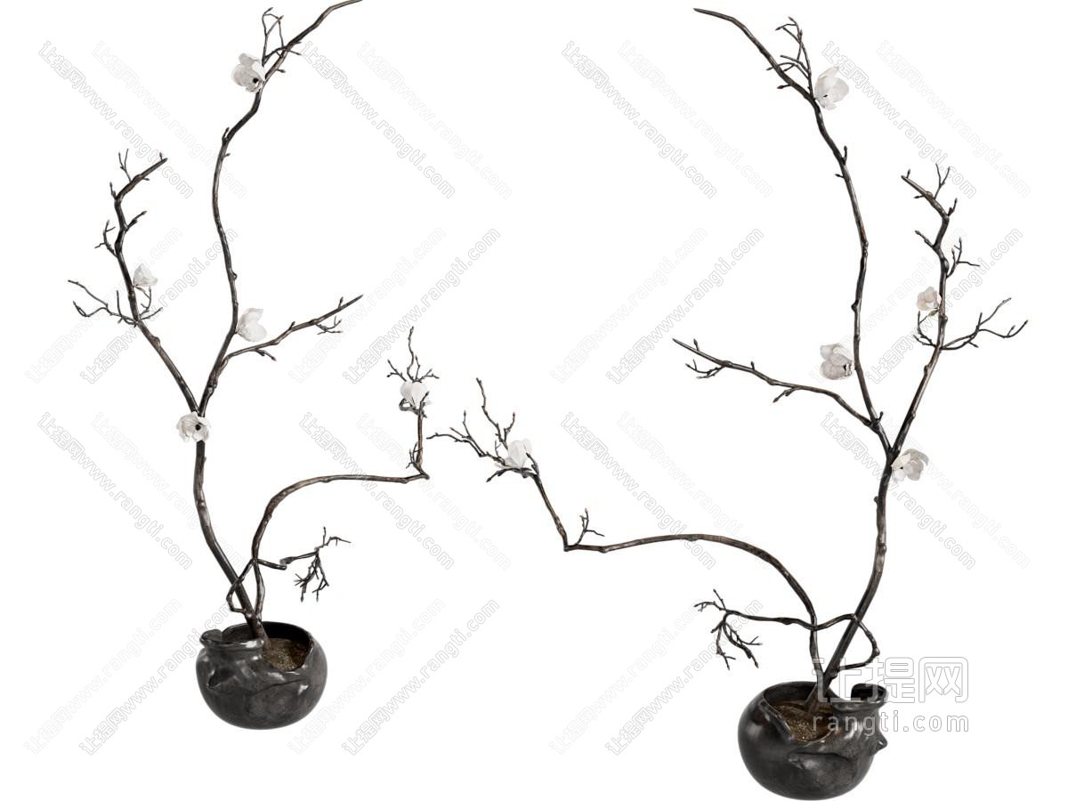 侘寂风干枝花艺