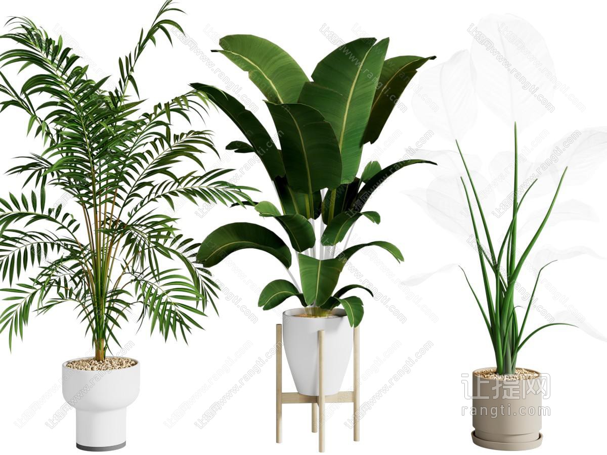 现代盆栽