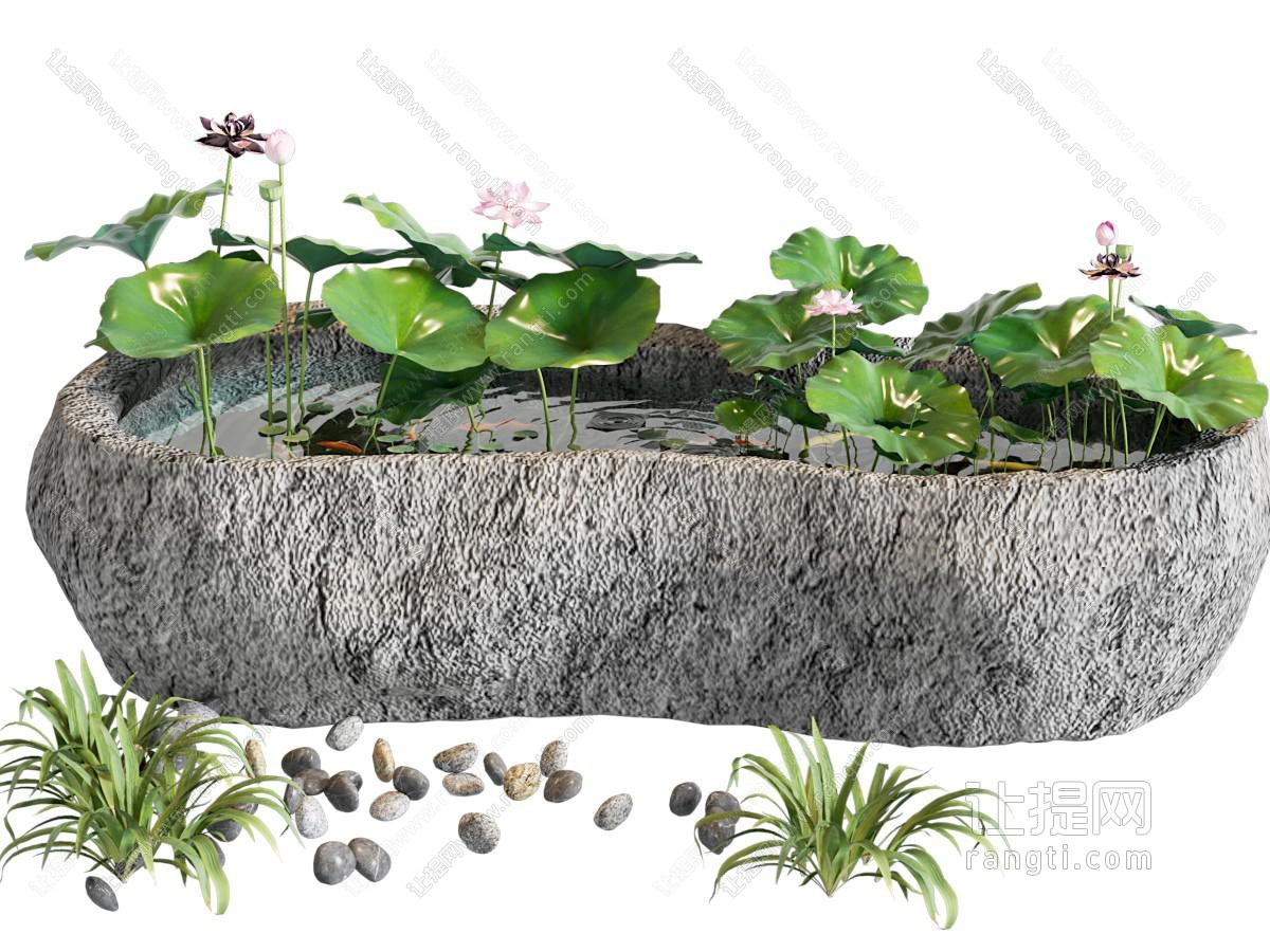 现代新中式鱼池 锦鲤池 原生水槽养鱼 荷花池 鱼池