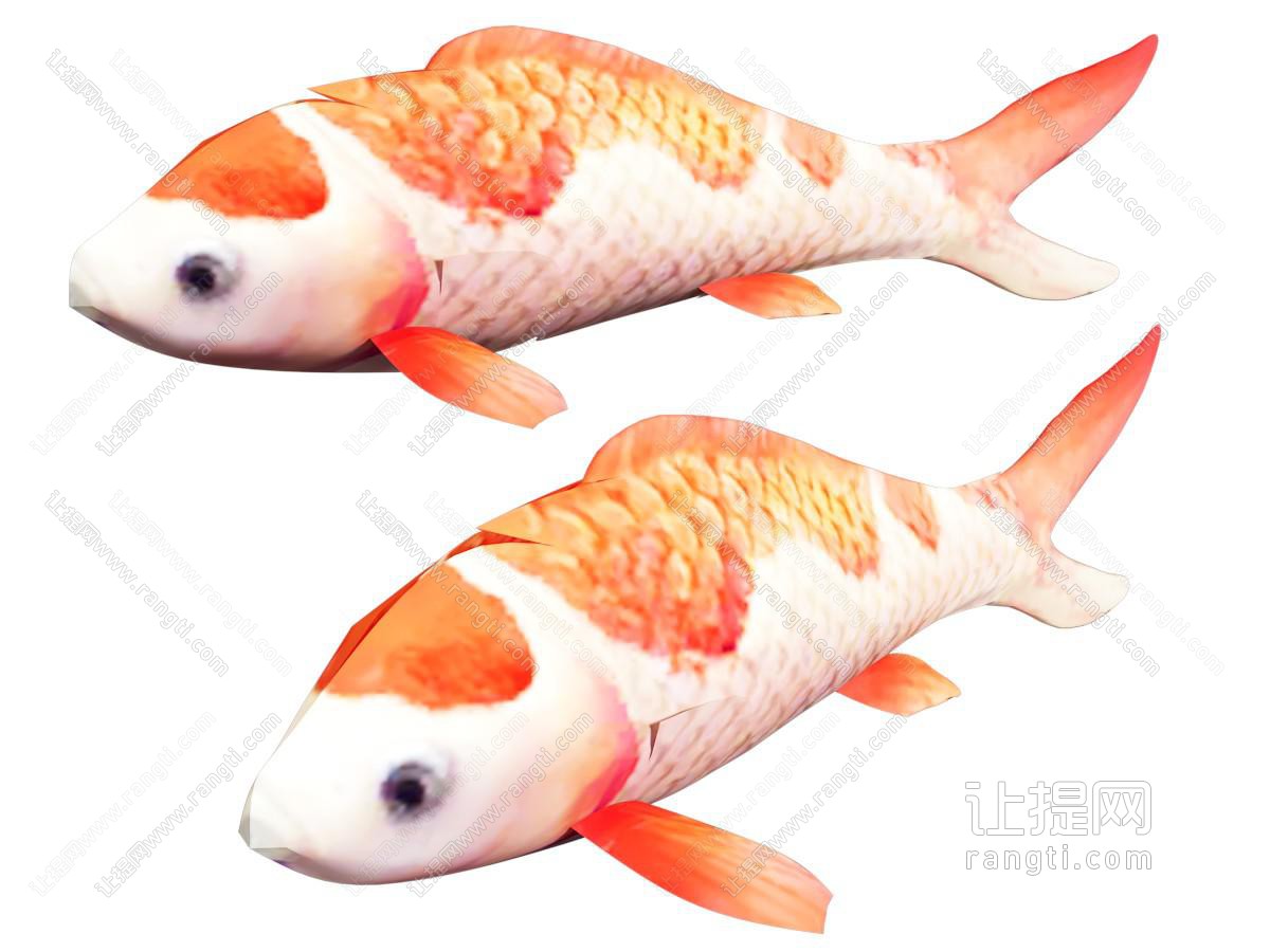 水生类动物
