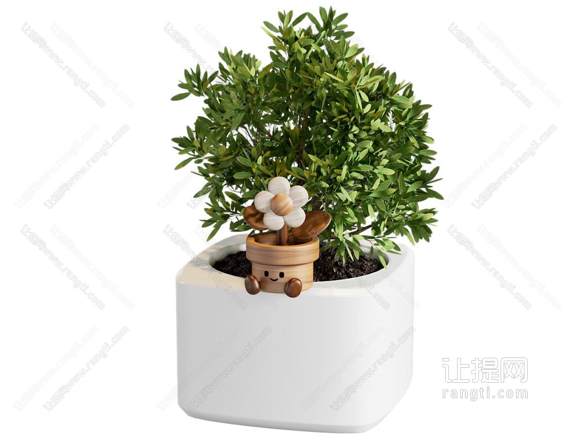 木 盆景盆栽植物摆件