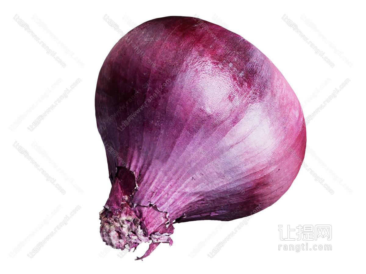 酒水食物 洋葱 红洋葱 蔬菜 扫描洋葱 扫描蔬菜