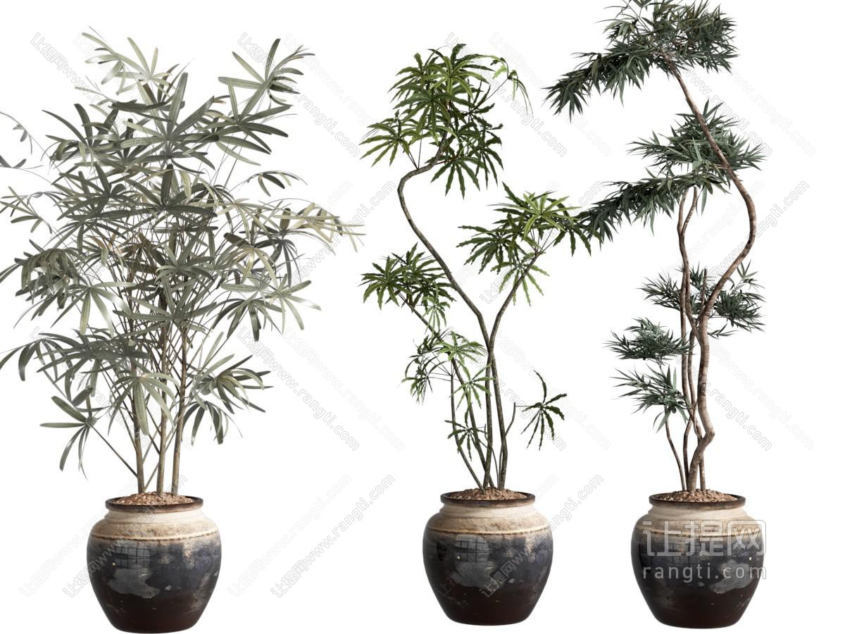 盆栽 中古风绿植 盆栽 落地植物