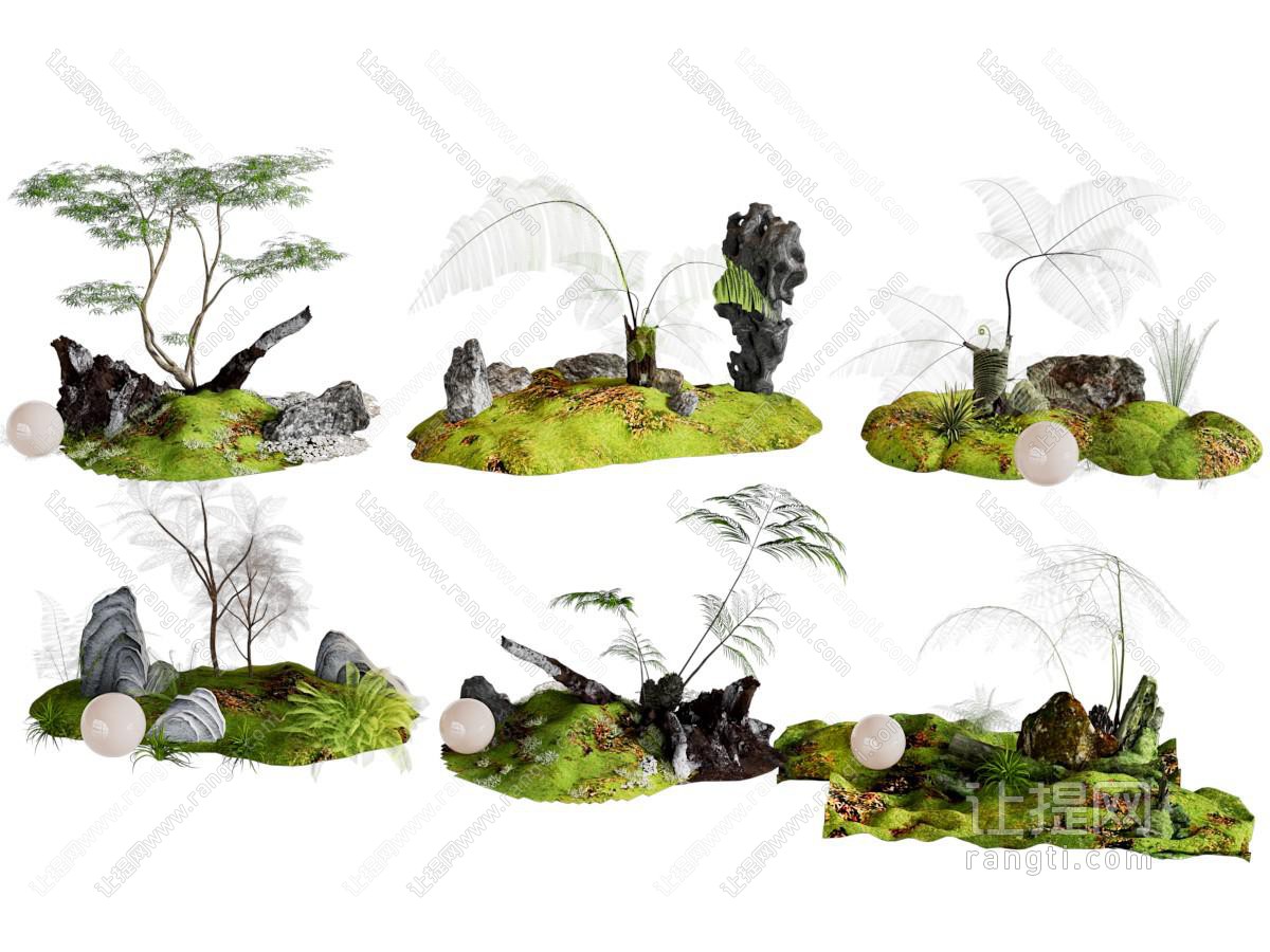 现代局部景观 庭院景观小品 植物景观 园林景观 蕨类植物 造景