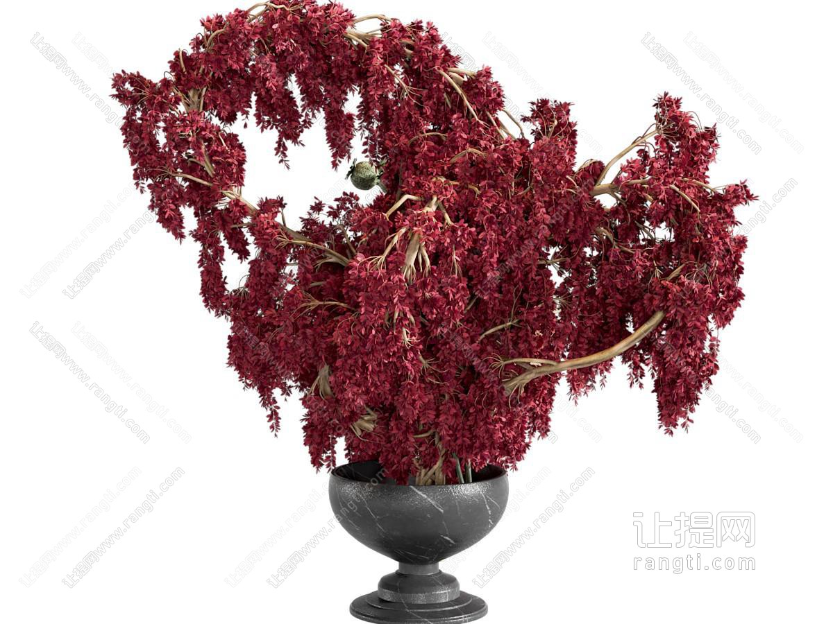 中古侘寂花艺