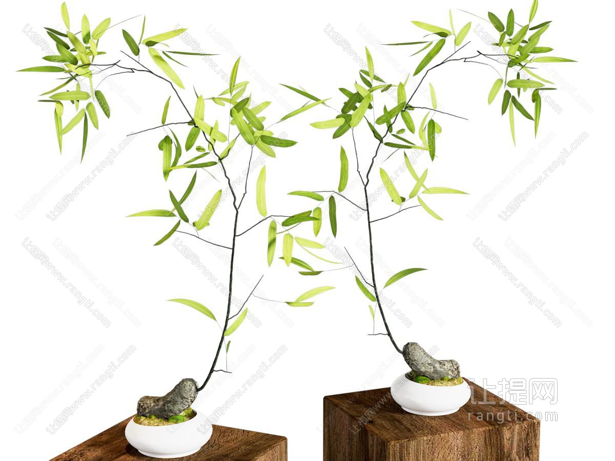 新中式花艺