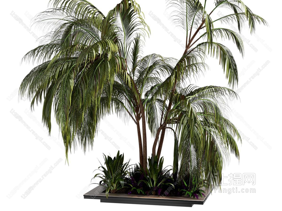现代户外植物堆