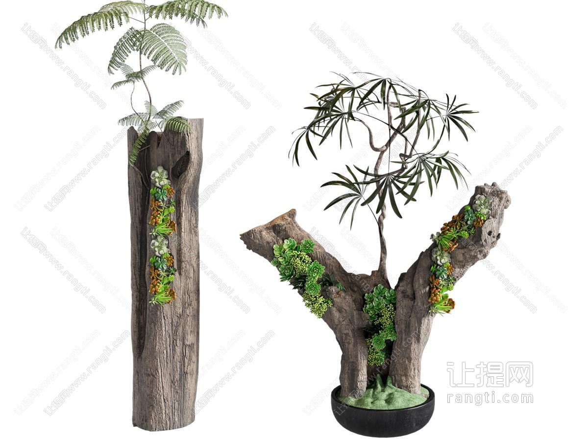 绿植盆栽
