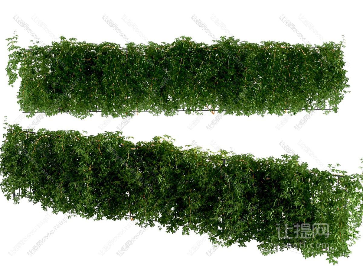 植物堆