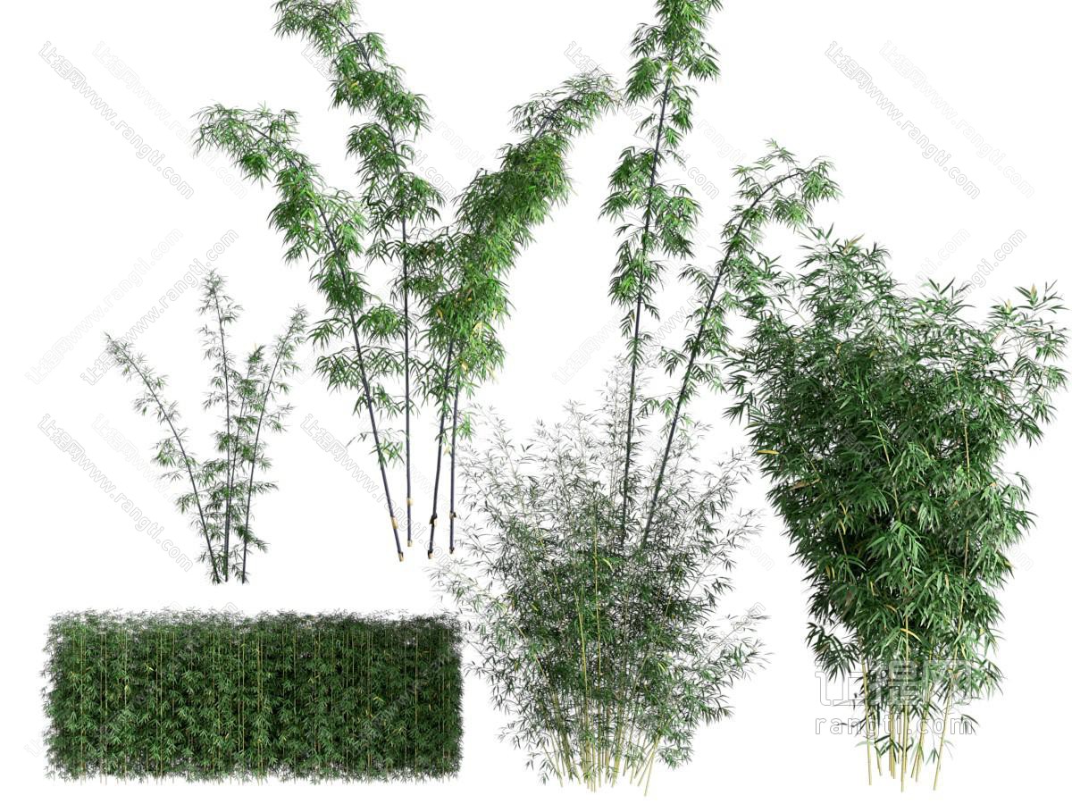 植物堆