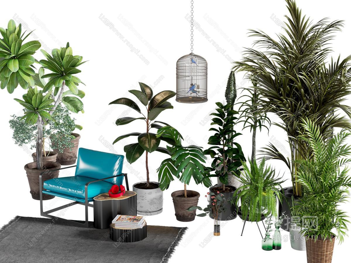 现代绿植盆栽组合