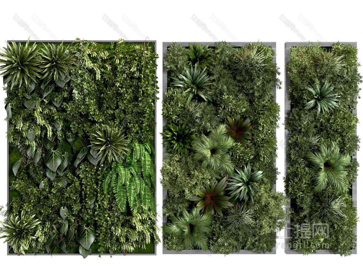 植物墙