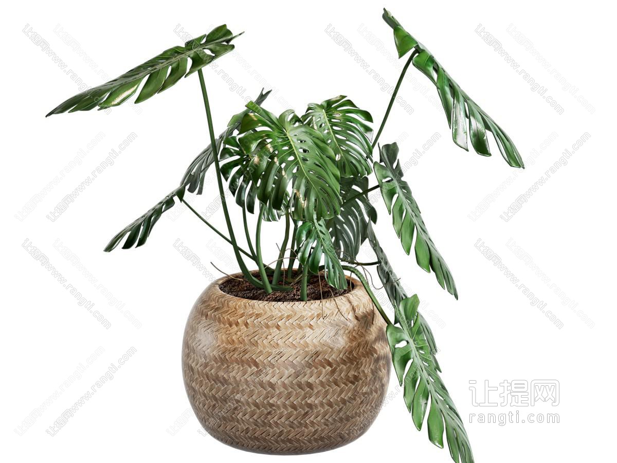 现代草编花盆盆景盆栽植物