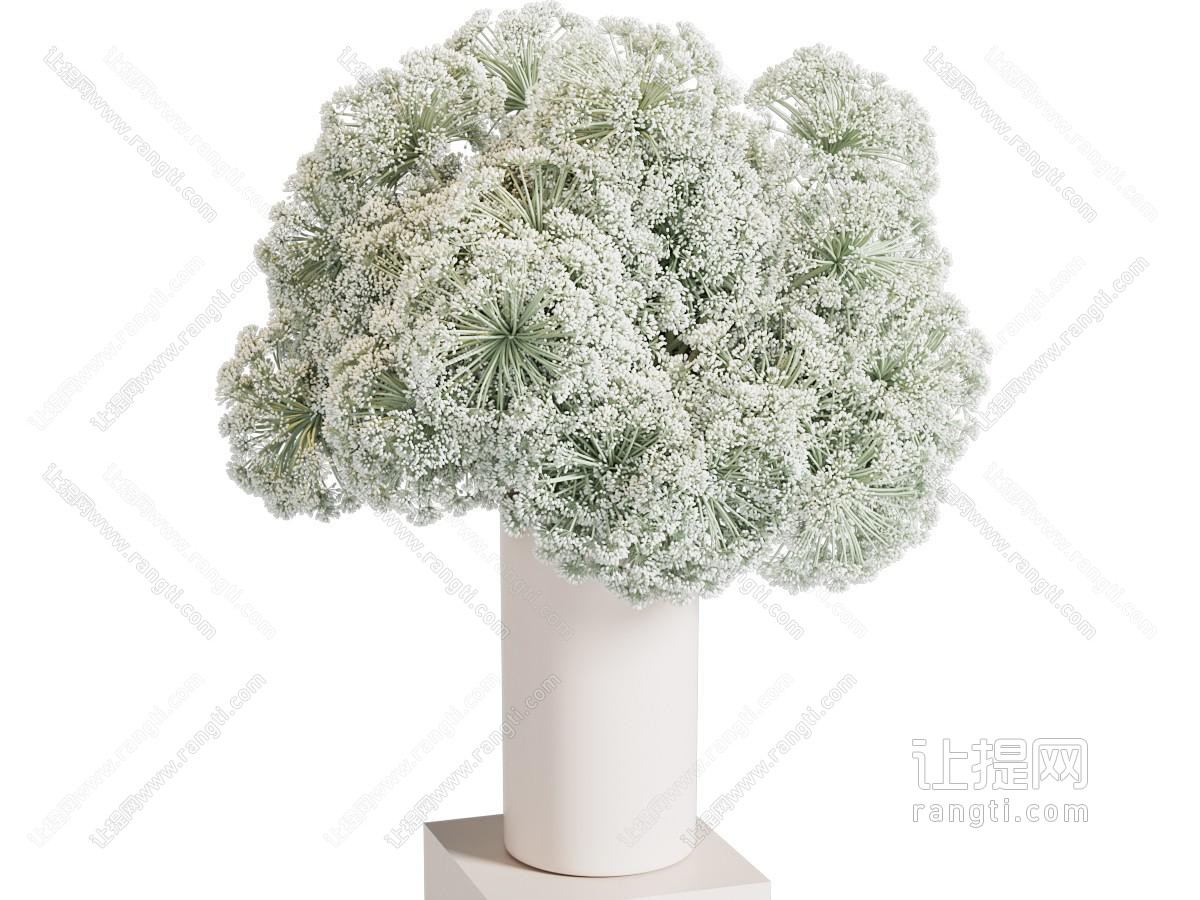 侘寂风 水养绿植 花瓶