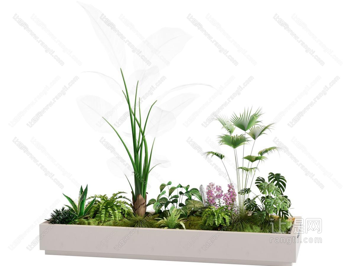 绿植花箱 花坛