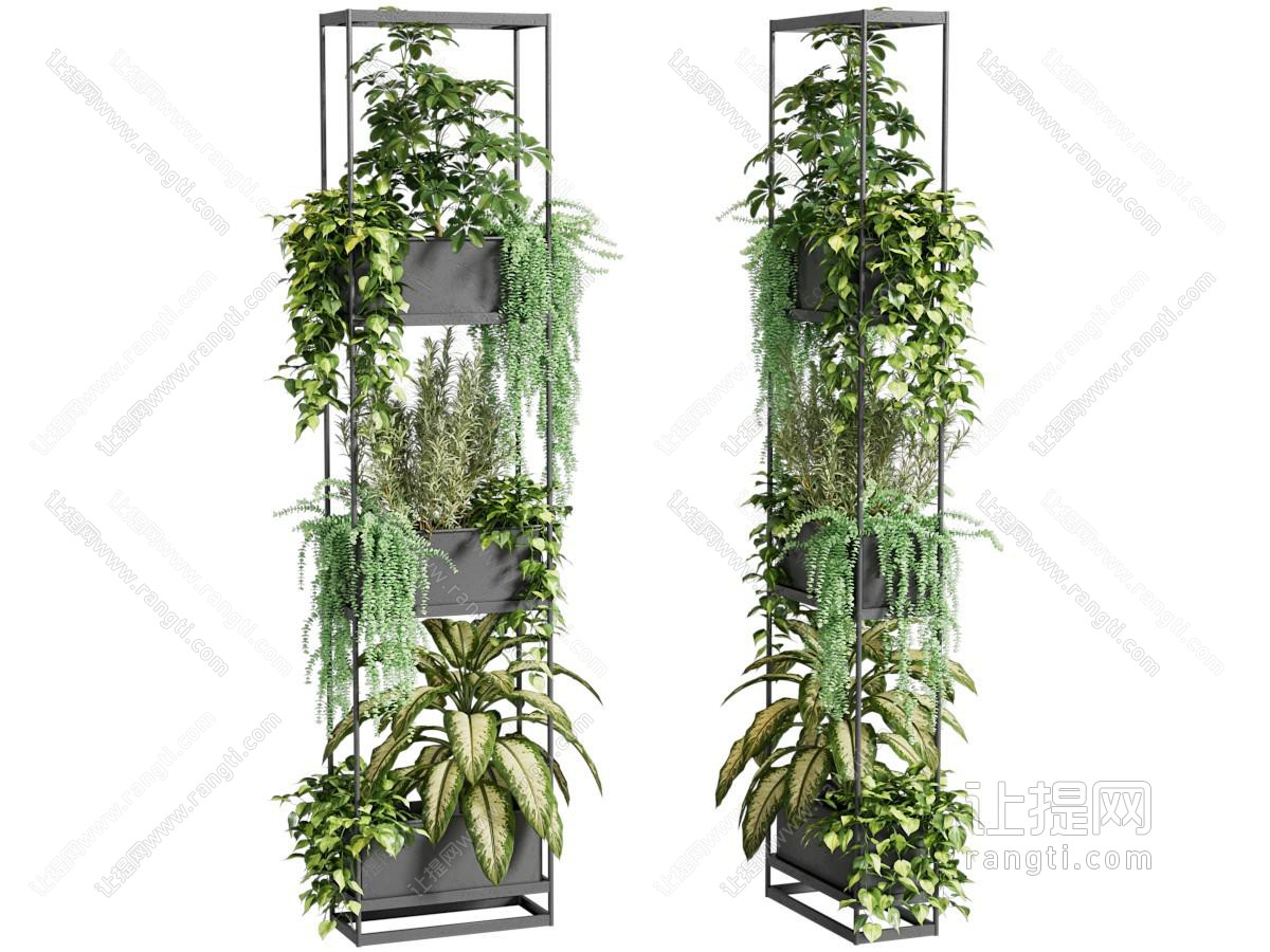 绿植墙