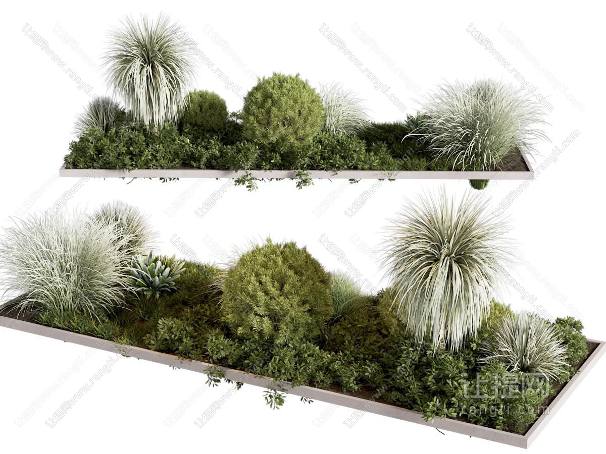 绿植 现代户外绿植灌木 花池植物堆