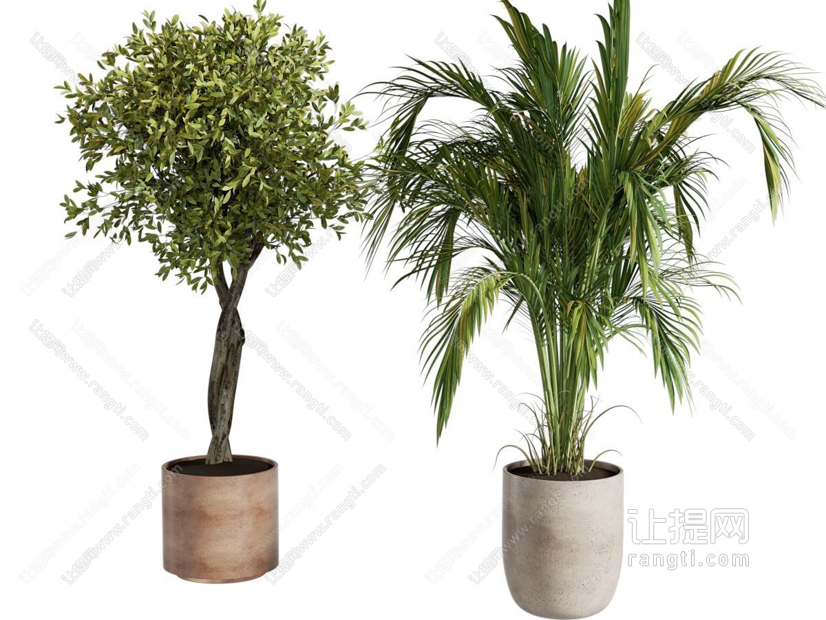 现代盆栽盆景绿植组合