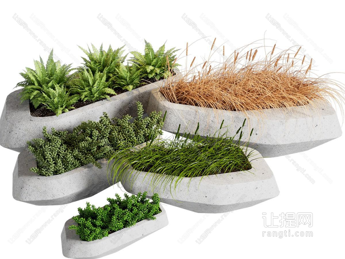现代绿植盆栽