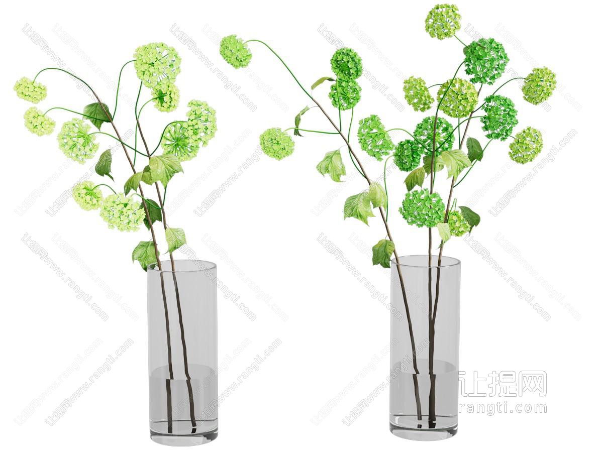 现代水生绿植花瓶