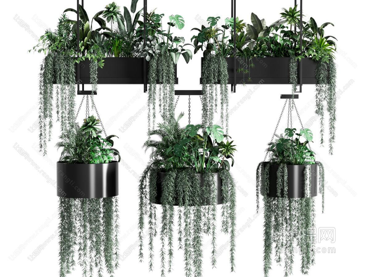 现代植物盆栽