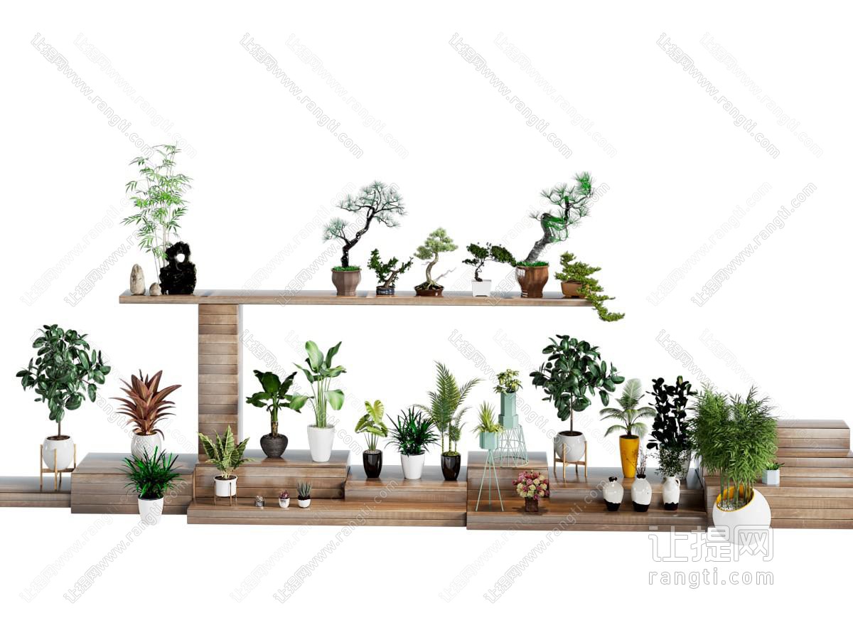 现代植物盆栽