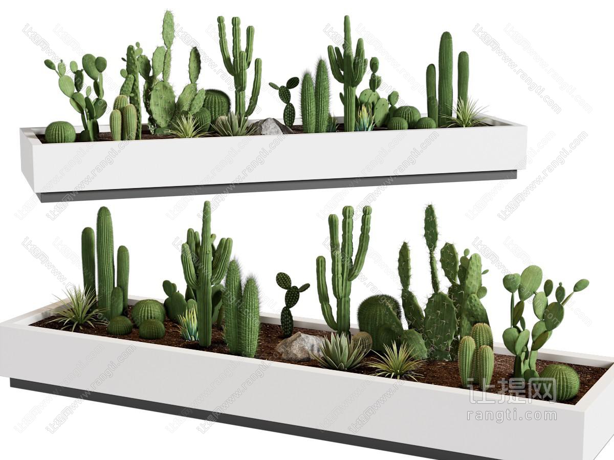 植物造景 植物堆