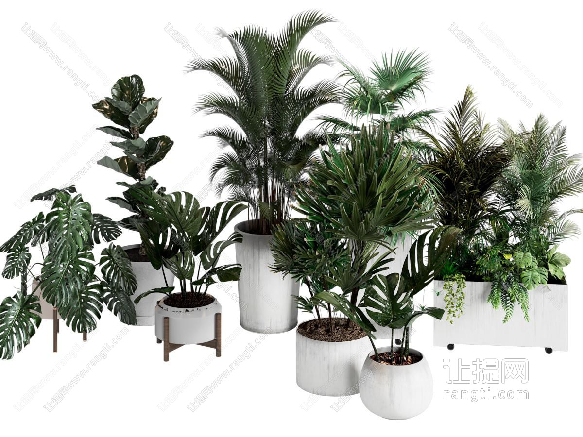 绿植 盆栽 盆景 花箱