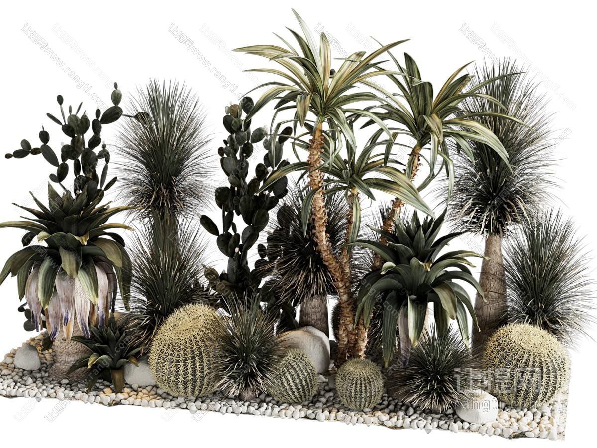 仙人掌绿植植物堆景观小品
