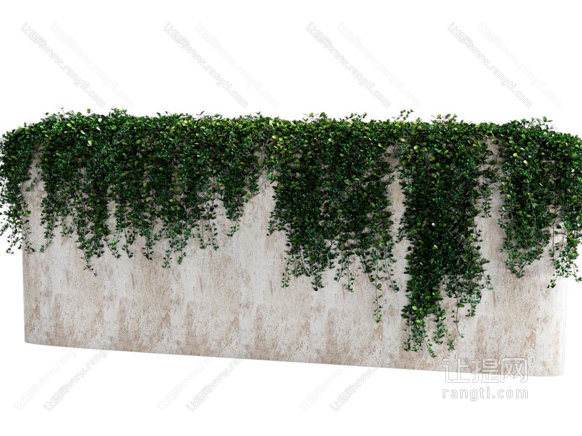 现代绿植墙 藤蔓 爬藤 爬山虎 室外植物