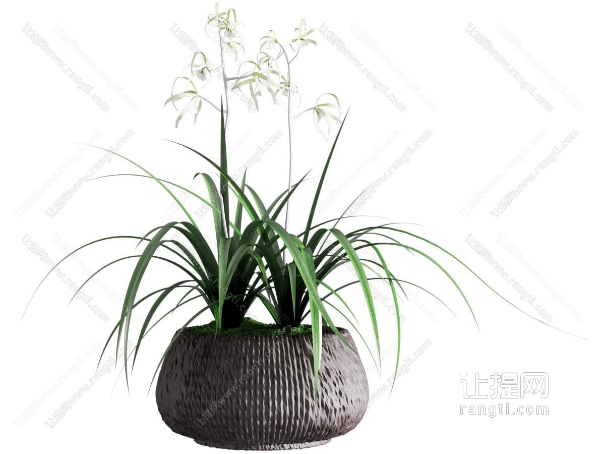 盆栽 现代盆栽