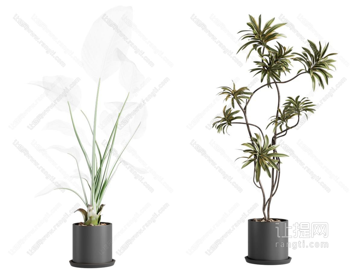 现代绿植盆栽