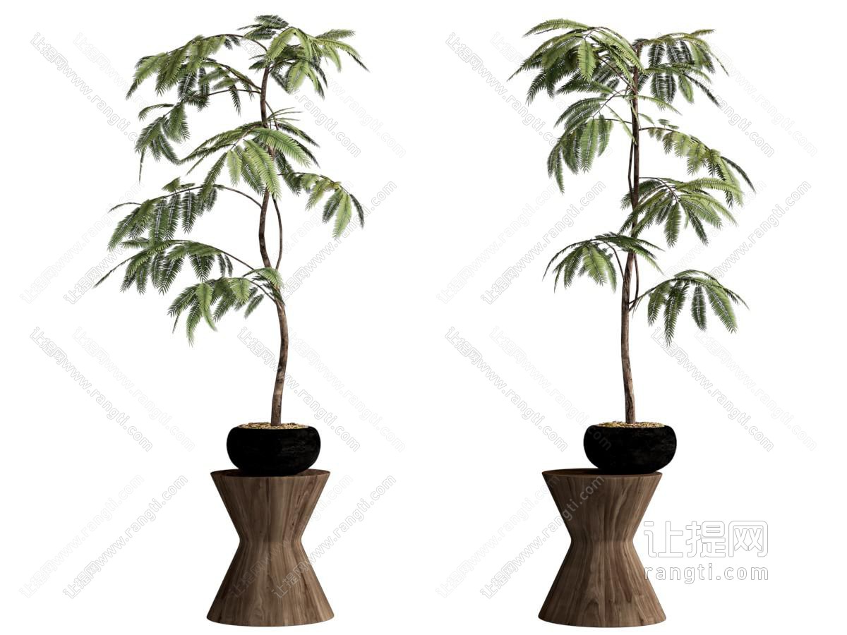 盆栽 现代绿植盆栽