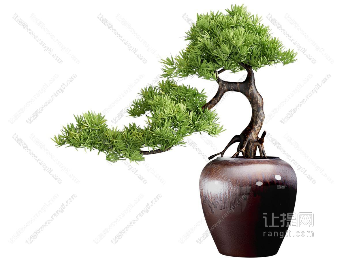新中式松树植物盆栽