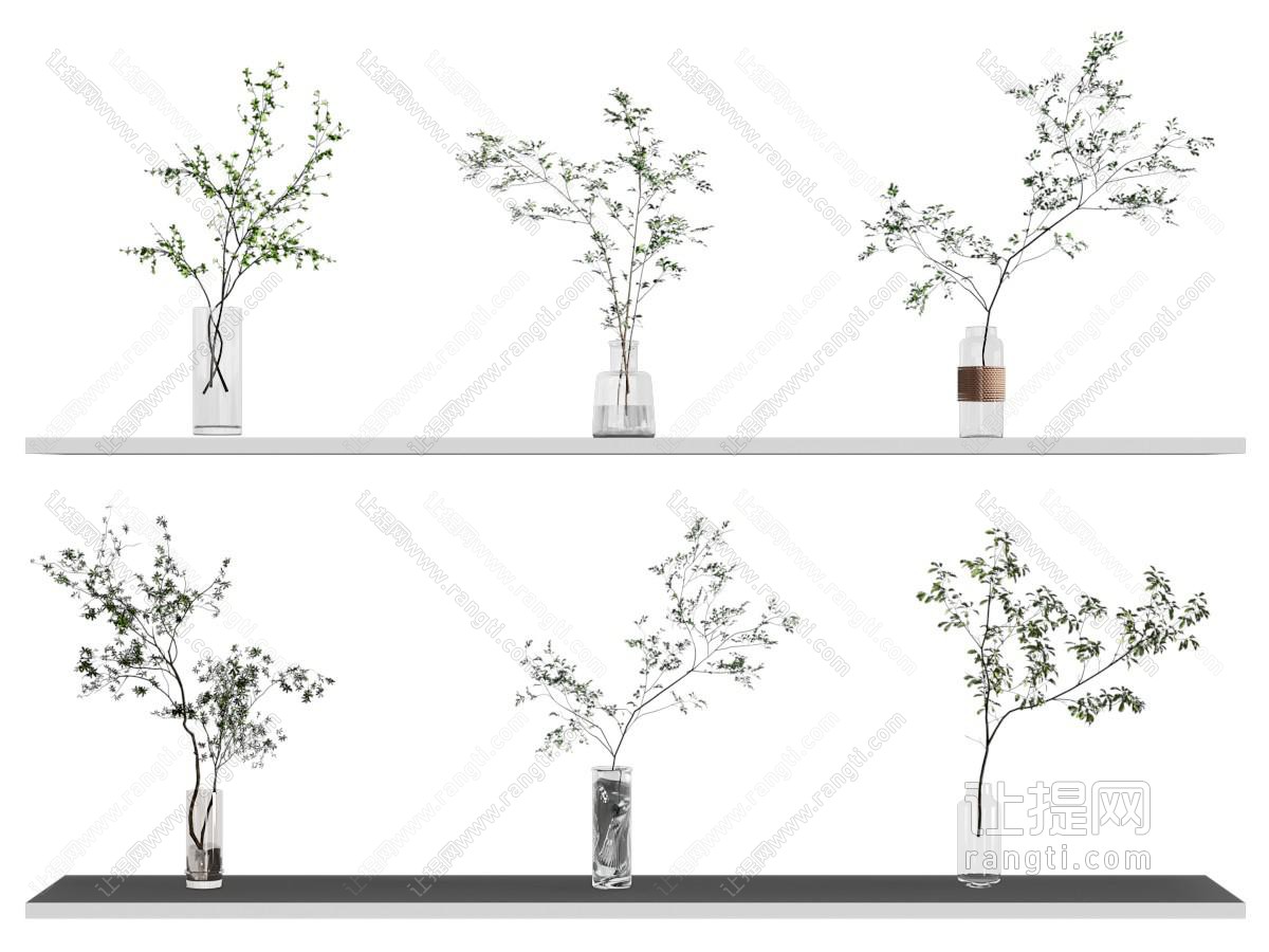 水生植物