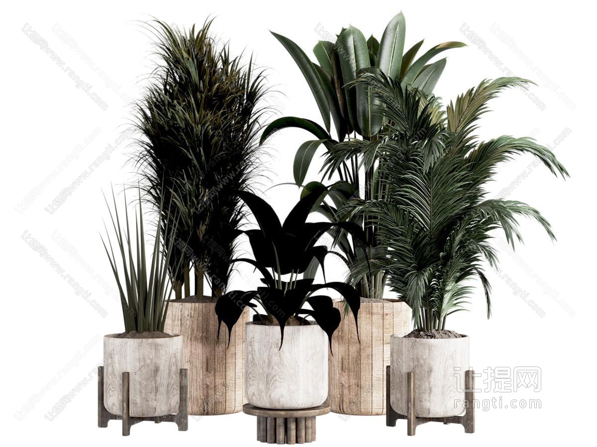 植物盆栽组合 绿植盆栽