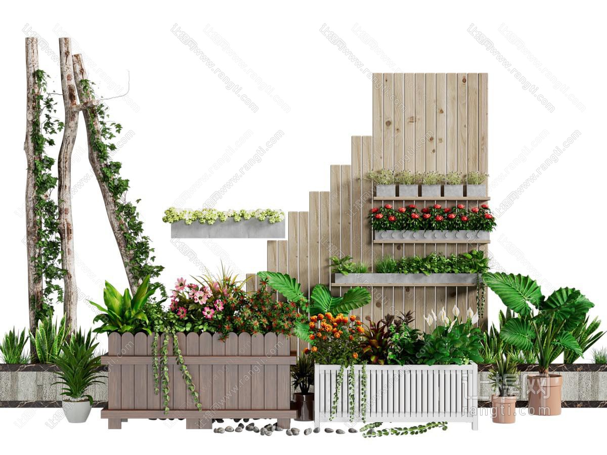 现代户外植物