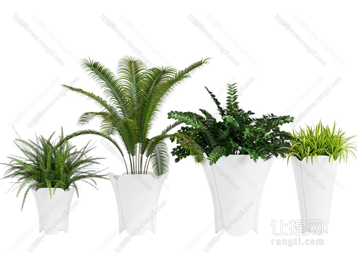 现代花盆盆景盆栽植物