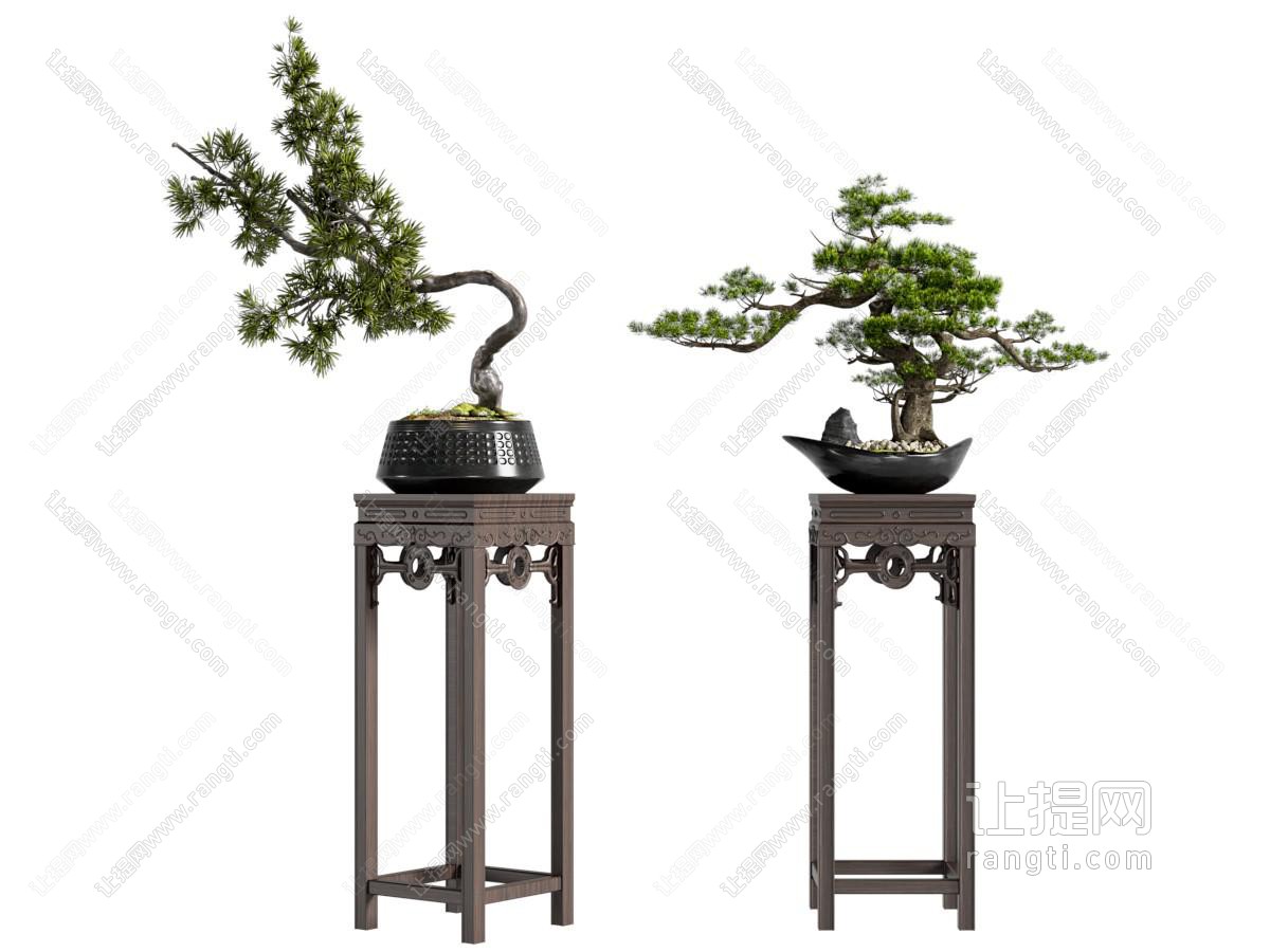 盆栽
