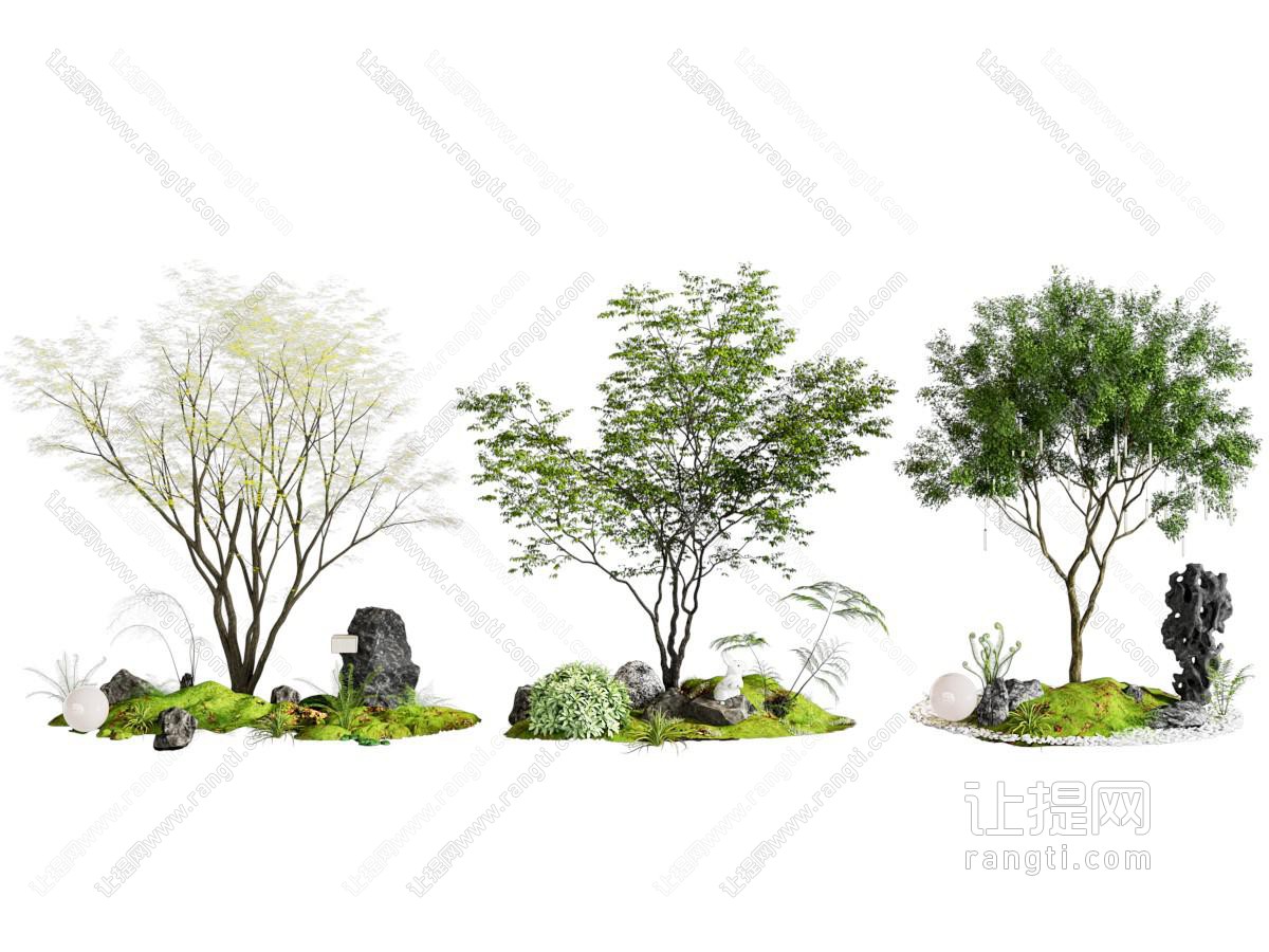 现代庭院小品 植物堆 蕨类植物
