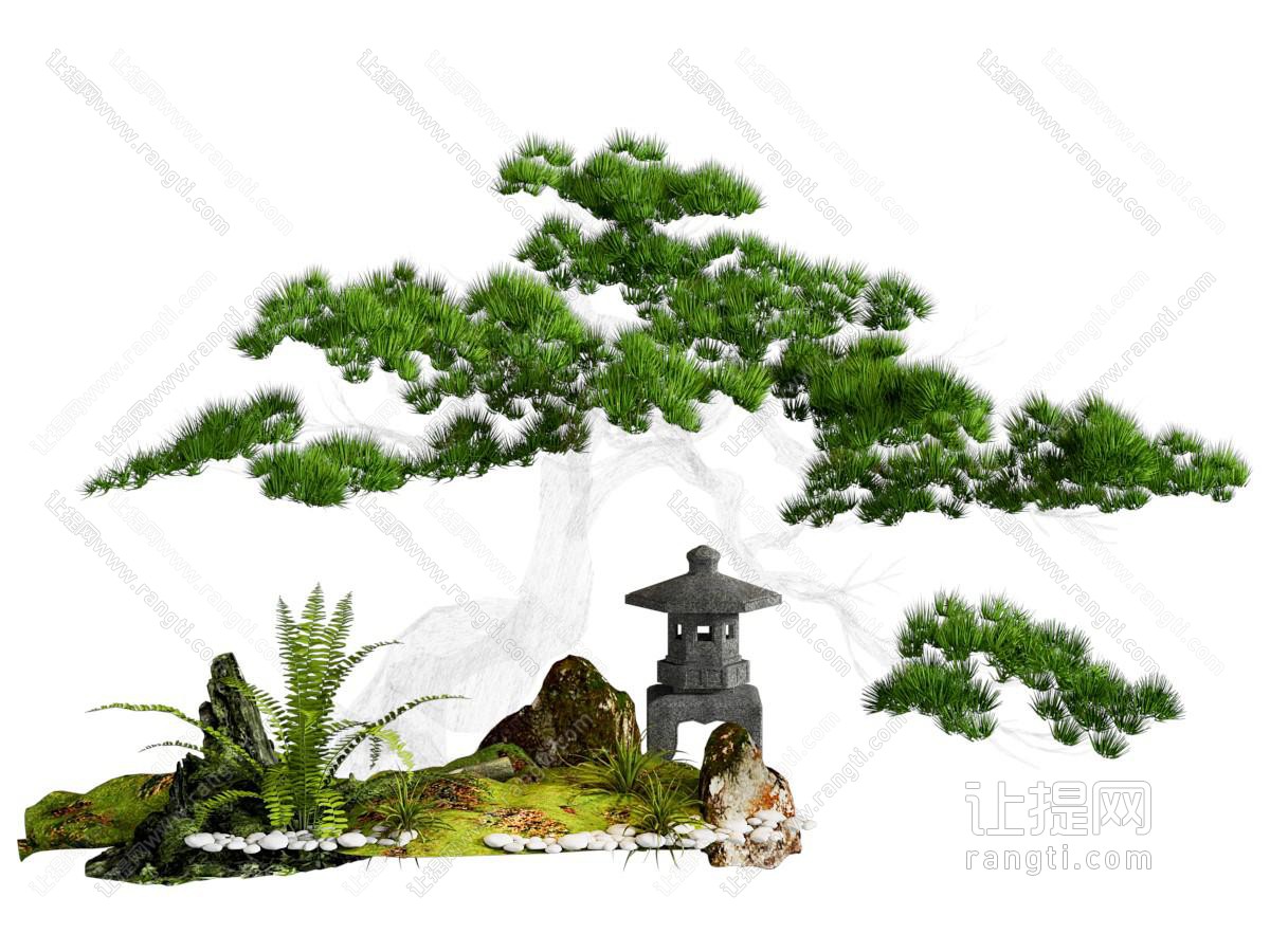 乔木 景观树 松树造景 罗汉松 庭院小品