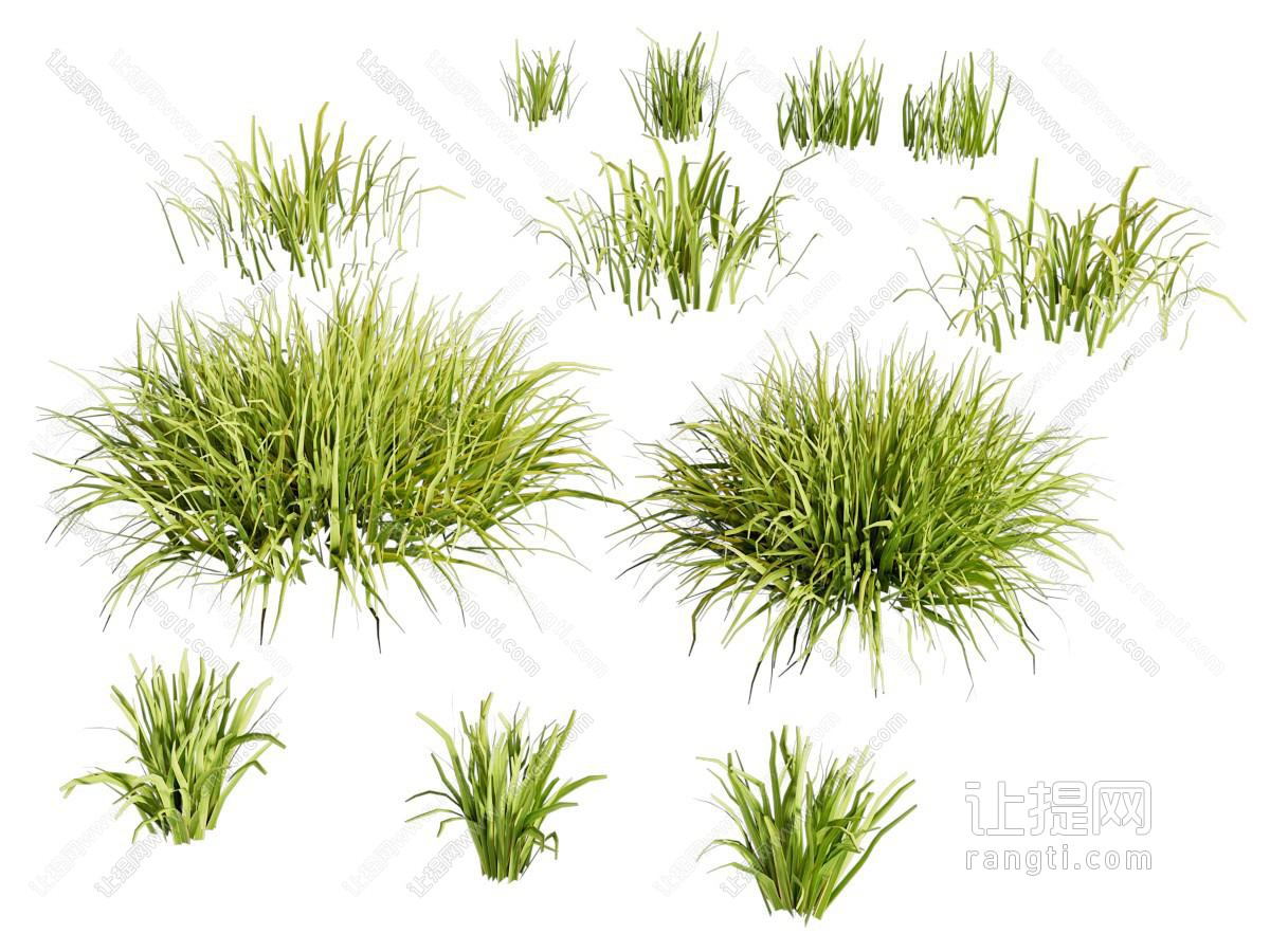 绿茵草地草坪