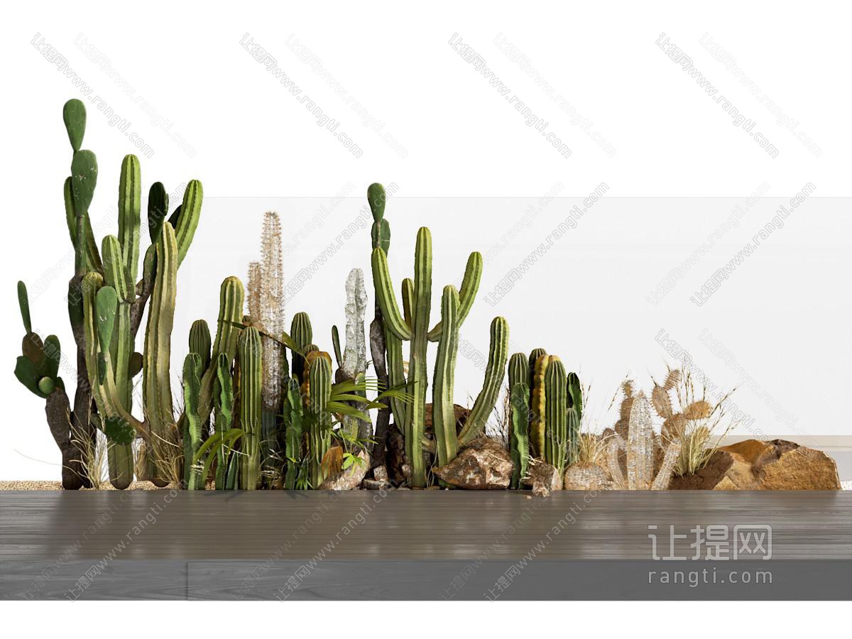 现代盆栽堆 绿植组合 景观 花坛 花池仙人掌